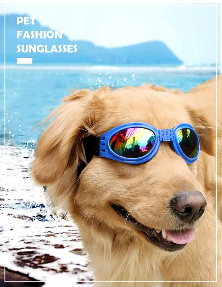 Cão de estimação Óculos de Evitar UV animal de Estimação Óculos Para Gatos, Cão de Óculos de sol a Reflexão Desgaste do Olho de Cão Óculos de Fotos Adereços, Acessórios para animais 2