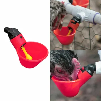 Frango Taça Papagaio Automática Bebedor de Pato, Frango Alimentador de Plástico Aves Taças e Aves Bebem a Água dos Copos de Sistema de Farm