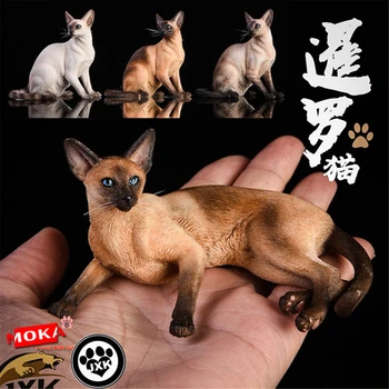 JxK 1:6 Escala Descontraído Siamese Cat Pet Cura Figura Felidae Modelo Animal De Coletores De Decoração Brinquedo Resina Presente